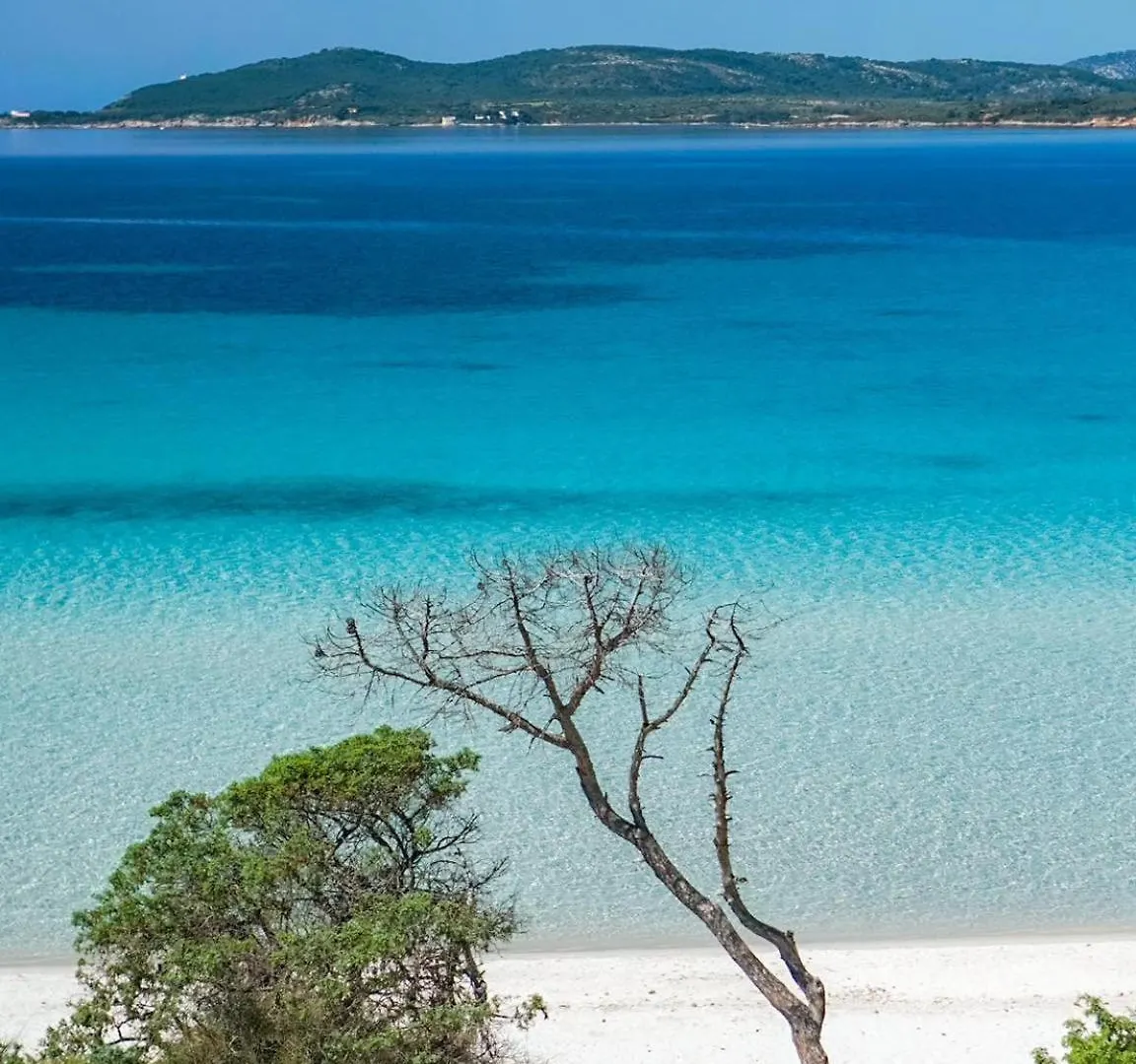 Holiday home Sweet Hospitality - Apartments L Ferret24 Alghero
